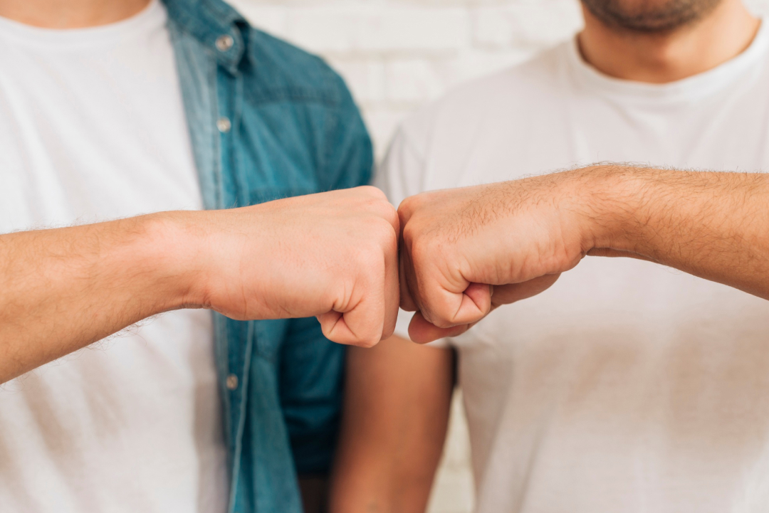 Distribuidores y Negocios